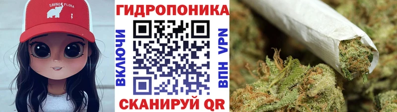 Каннабис SATIVA & INDICA Мышкин